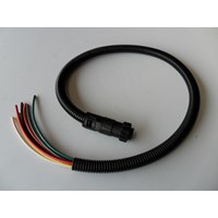 220v脑箱线束